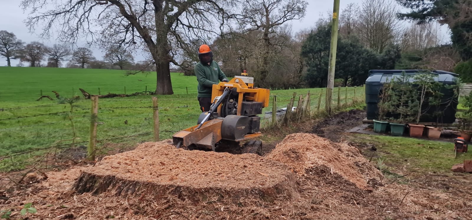 Tree stump removal in Westminster with stump grinder